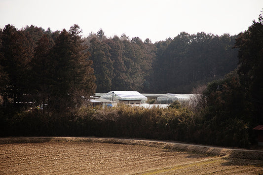 ウィンドレス鶏舎ってどんな鶏舎なのですか？